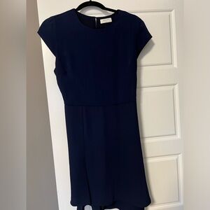 Aritzia Babaton Hampton mini dress